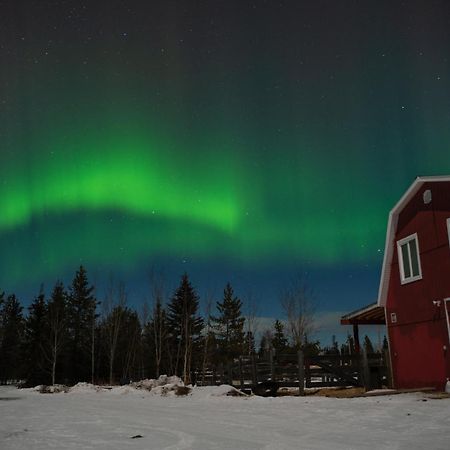The Big Red Barn Apartment Whitehorse Bagian luar foto