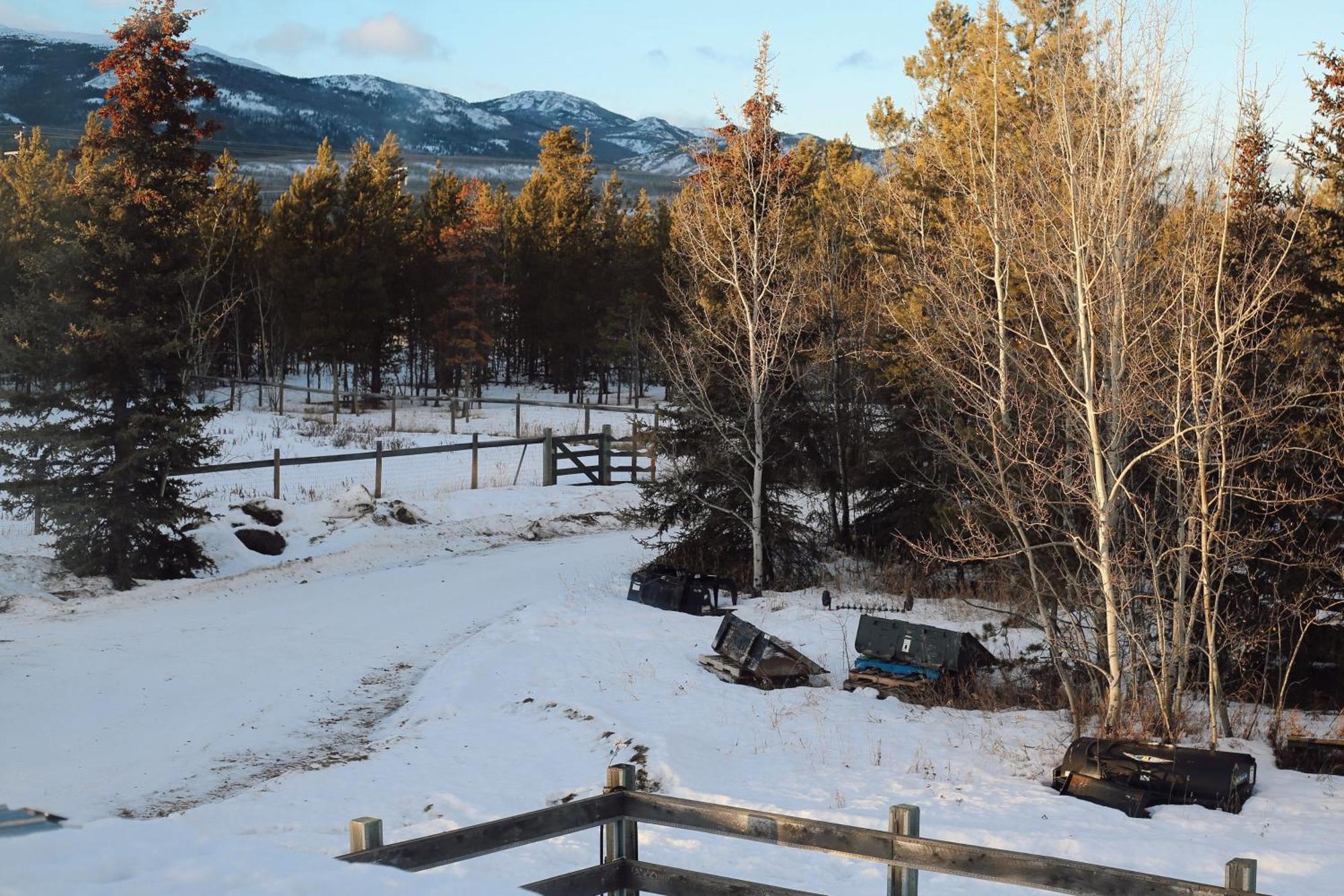 The Big Red Barn Apartment Whitehorse Bagian luar foto