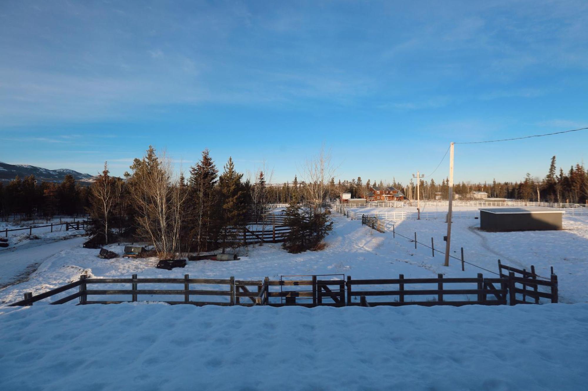 The Big Red Barn Apartment Whitehorse Bagian luar foto
