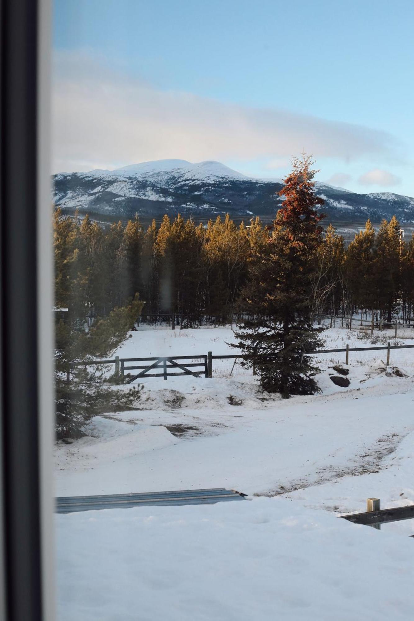 The Big Red Barn Apartment Whitehorse Bagian luar foto