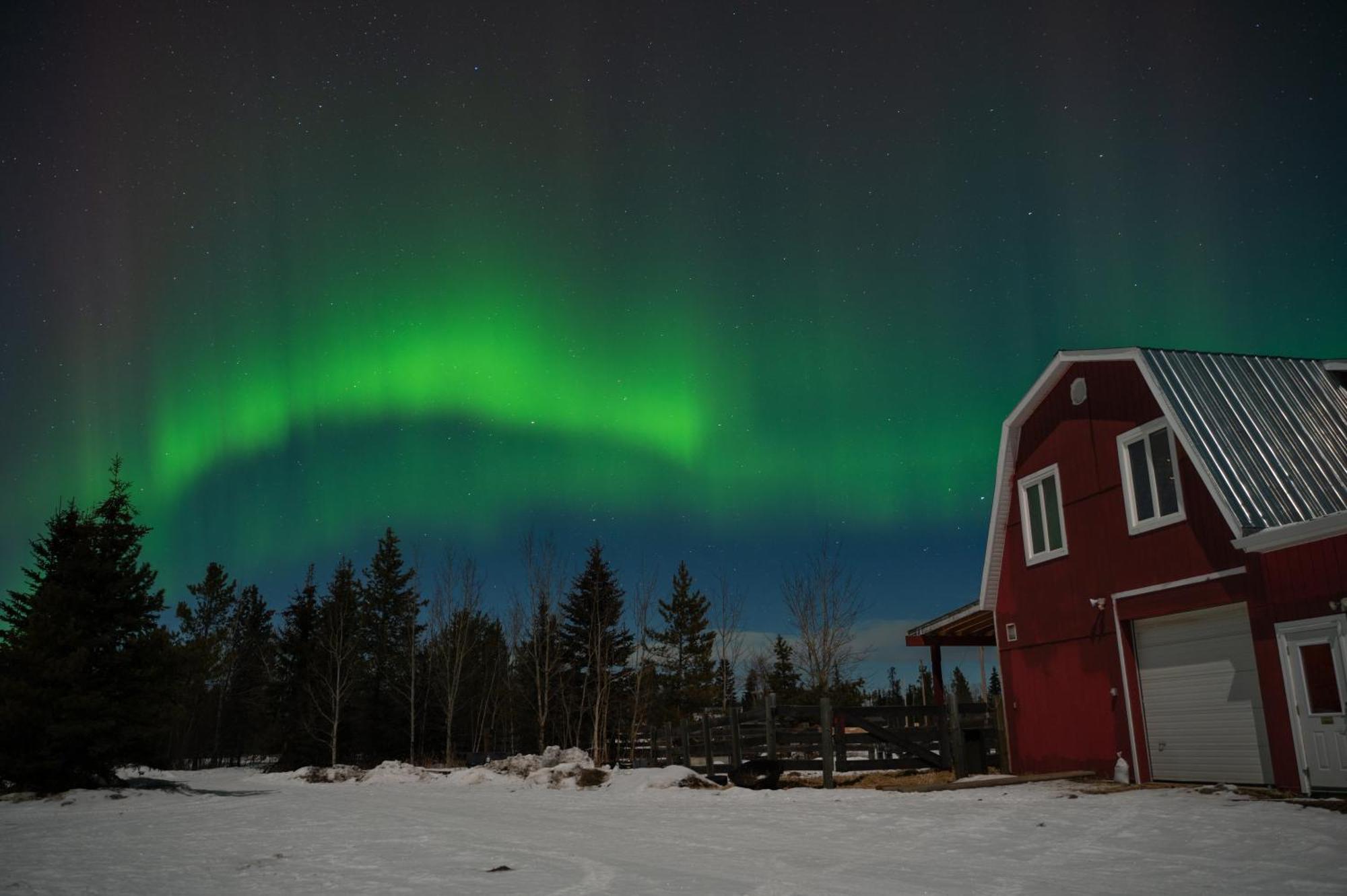 The Big Red Barn Apartment Whitehorse Bagian luar foto